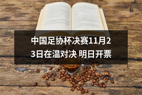 中国足协杯决赛11月23日在温对决 明日开票