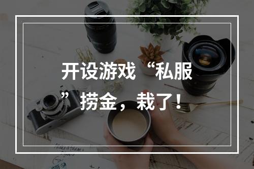 开设游戏“私服”捞金，栽了！