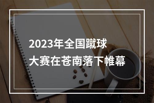 2023年全国蹴球大赛在苍南落下帷幕
