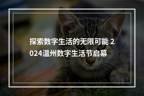 探索数字生活的无限可能 2024温州数字生活节启幕