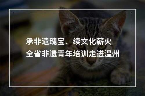 承非遗瑰宝、续文化薪火 全省非遗青年培训走进温州