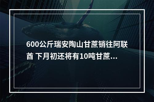 600公斤瑞安陶山甘蔗销往阿联酋 下月初还将有10吨甘蔗出口韩国