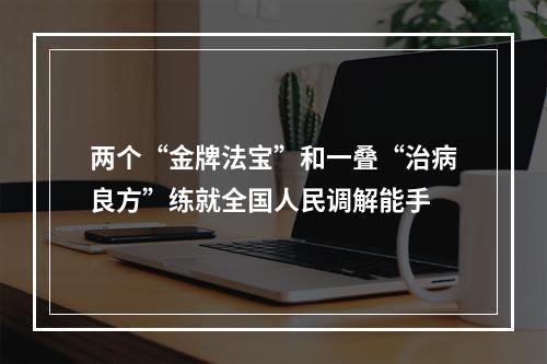 两个“金牌法宝”和一叠“治病良方”练就全国人民调解能手