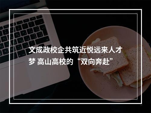 文成政校企共筑近悦远来人才梦 高山高校的“双向奔赴”