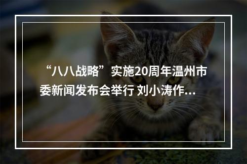 “八八战略”实施20周年温州市委新闻发布会举行 刘小涛作主题发布并答记者问