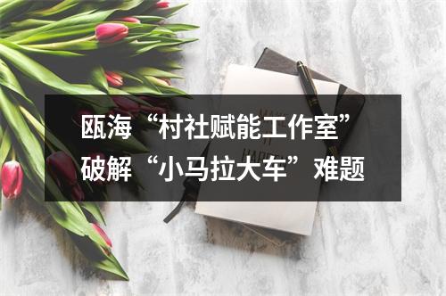 瓯海“村社赋能工作室”破解“小马拉大车”难题