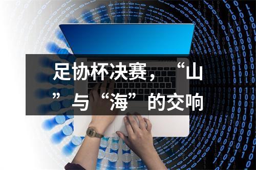 足协杯决赛，“山”与“海”的交响
