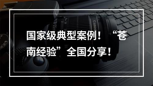 国家级典型案例！“苍南经验”全国分享！