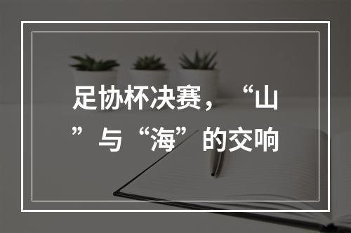 足协杯决赛，“山”与“海”的交响