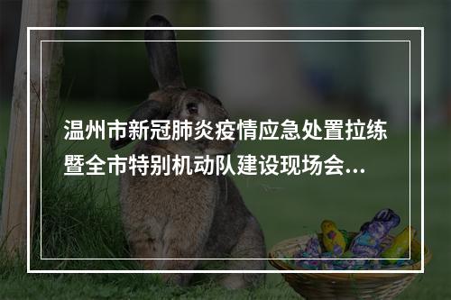 温州市新冠肺炎疫情应急处置拉练暨全市特别机动队建设现场会在泰顺举行