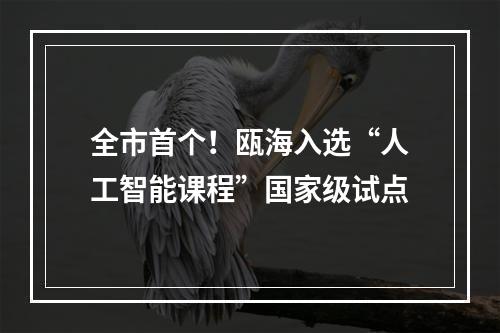 全市首个！瓯海入选“人工智能课程”国家级试点