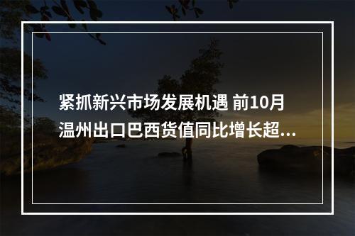 紧抓新兴市场发展机遇 前10月温州出口巴西货值同比增长超20%