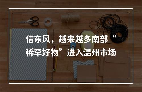 借东风，越来越多南部“稀罕好物”进入温州市场