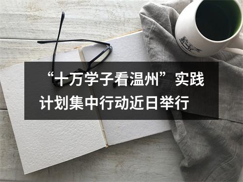 “十万学子看温州”实践计划集中行动近日举行