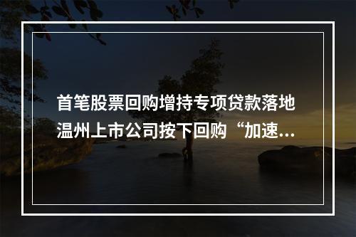 首笔股票回购增持专项贷款落地 温州上市公司按下回购“加速键”