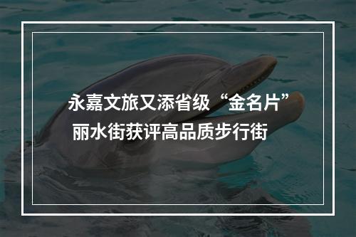 永嘉文旅又添省级“金名片” 丽水街获评高品质步行街