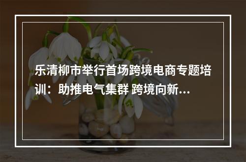 乐清柳市举行首场跨境电商专题培训：助推电气集群 跨境向新启航