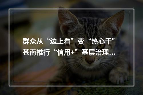 群众从“边上看”变“热心干” 苍南推行“信用+”基层治理新模式