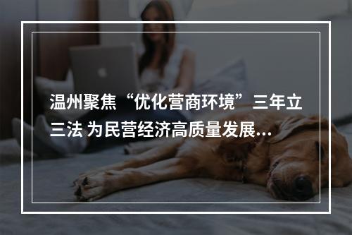温州聚焦“优化营商环境”三年立三法 为民营经济高质量发展打造地方立法集群