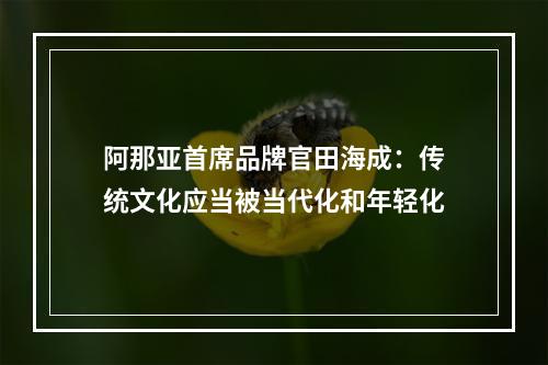 阿那亚首席品牌官田海成：传统文化应当被当代化和年轻化