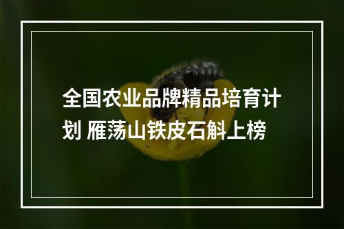 全国农业品牌精品培育计划 雁荡山铁皮石斛上榜