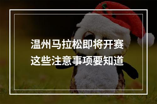 温州马拉松即将开赛 这些注意事项要知道