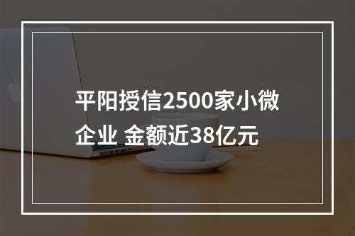 平阳授信2500家小微企业 金额近38亿元