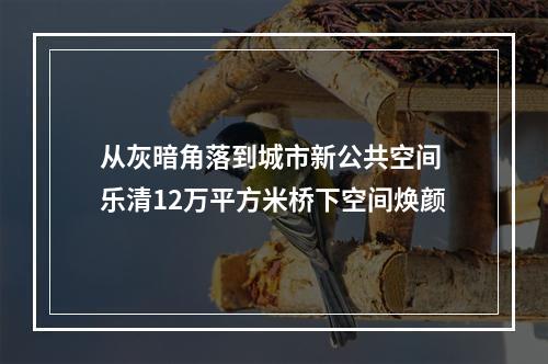 从灰暗角落到城市新公共空间 乐清12万平方米桥下空间焕颜