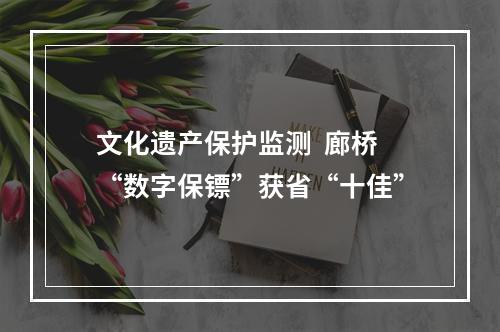 文化遗产保护监测  廊桥“数字保镖”获省“十佳”