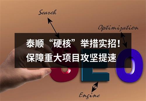 泰顺“硬核”举措实招！保障重大项目攻坚提速
