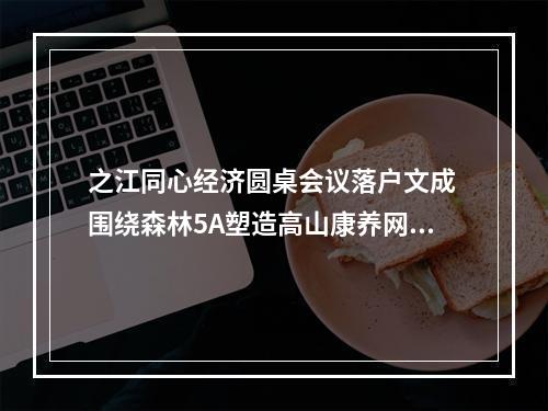 之江同心经济圆桌会议落户文成 围绕森林5A塑造高山康养网红标签