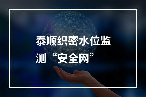 泰顺织密水位监测“安全网”