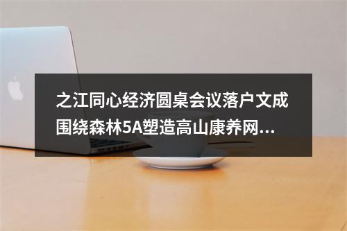 之江同心经济圆桌会议落户文成 围绕森林5A塑造高山康养网红标签