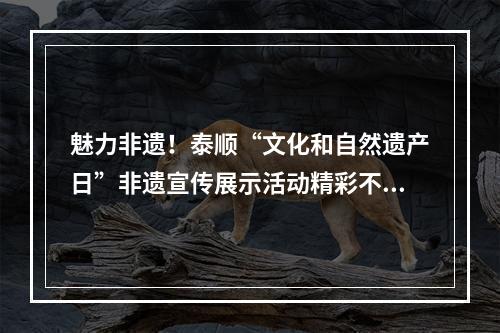 魅力非遗！泰顺“文化和自然遗产日”非遗宣传展示活动精彩不断~