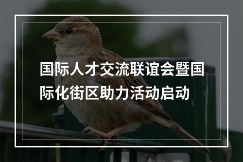 国际人才交流联谊会暨国际化街区助力活动启动