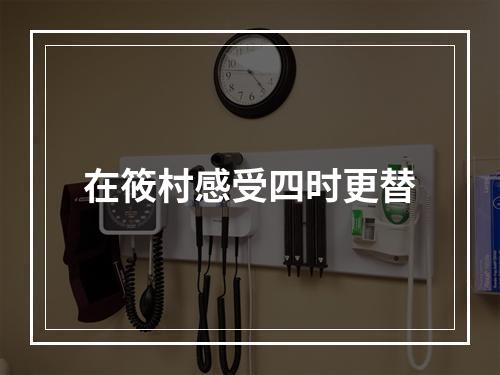 在筱村感受四时更替