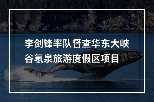 李剑锋率队督查华东大峡谷氡泉旅游度假区项目