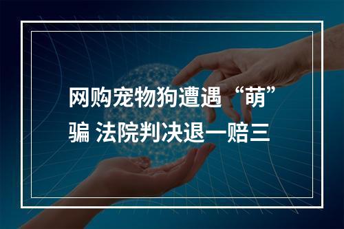 网购宠物狗遭遇“萌”骗 法院判决退一赔三