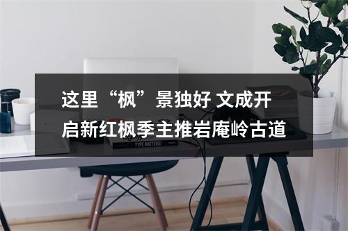这里“枫”景独好 文成开启新红枫季主推岩庵岭古道