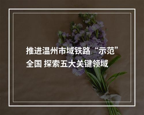 推进温州市域铁路“示范”全国 探索五大关键领域