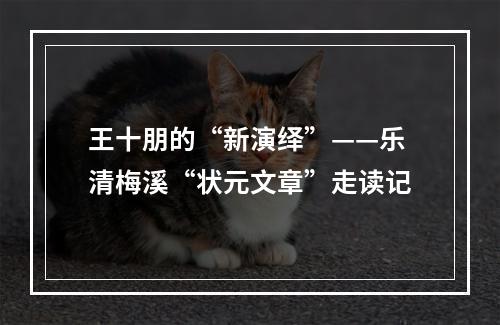 王十朋的“新演绎”——乐清梅溪“状元文章”走读记