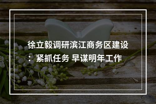 徐立毅调研滨江商务区建设：紧抓任务 早谋明年工作