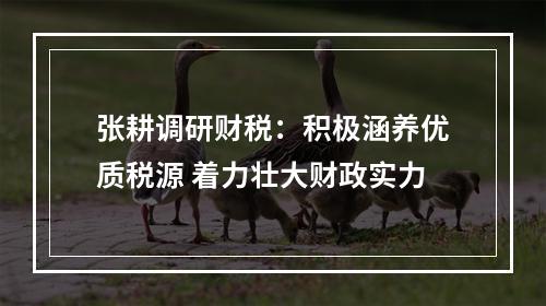 张耕调研财税：积极涵养优质税源 着力壮大财政实力
