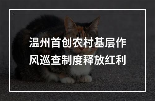 温州首创农村基层作风巡查制度释放红利