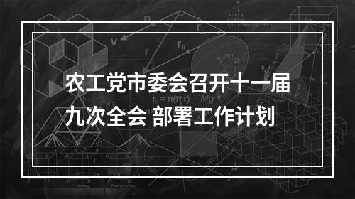 农工党市委会召开十一届九次全会 部署工作计划