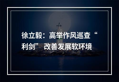 徐立毅：高举作风巡查“利剑” 改善发展软环境