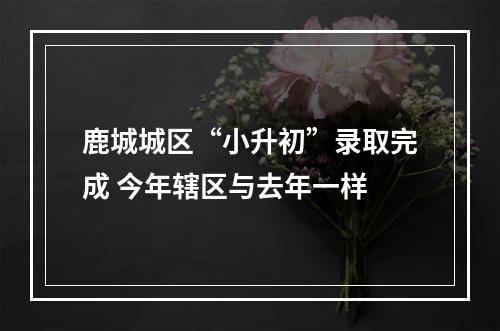 鹿城城区“小升初”录取完成 今年辖区与去年一样