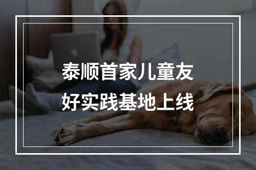 泰顺首家儿童友好实践基地上线