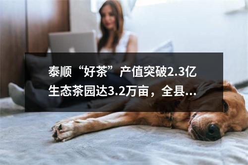泰顺“好茶”产值突破2.3亿 生态茶园达3.2万亩，全县良种覆盖率达75%