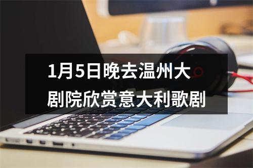 1月5日晚去温州大剧院欣赏意大利歌剧